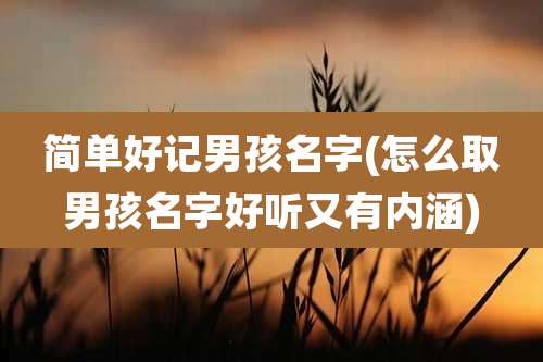 简单好记男孩名字(怎么取男孩名字好听又有内涵)