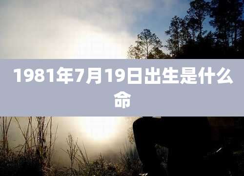 1981年7月19日出生是什么命