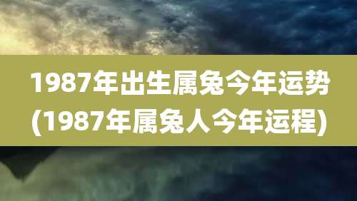 1987年出生属兔今年运势(1987年属兔人今年运程)