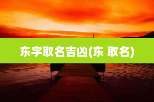 东字取名吉凶(东 取名)