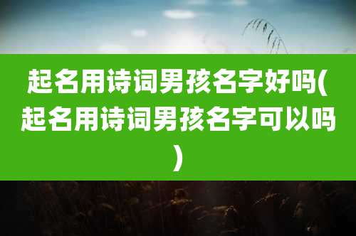 起名用诗词男孩名字好吗(起名用诗词男孩名字可以吗)