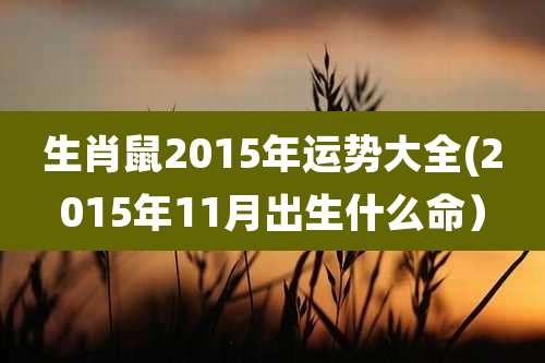生肖鼠2015年运势大全(2015年11月出生什么命)