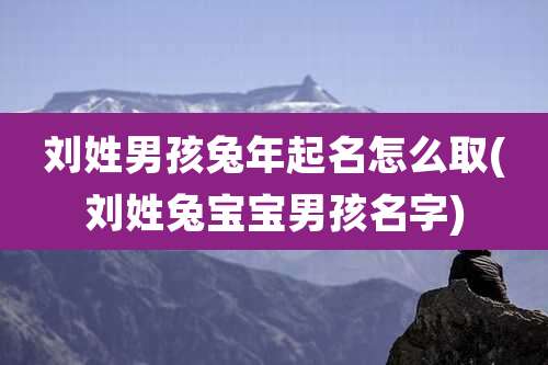 刘姓男孩兔年起名怎么取(刘姓兔宝宝男孩名字)