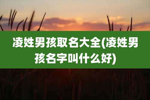 凌姓男孩取名大全(凌姓男孩名字叫什么好)