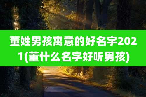 董姓男孩寓意的好名字2021(董什么名字好听男孩)
