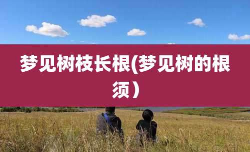 梦见树枝长根(梦见树的根须)