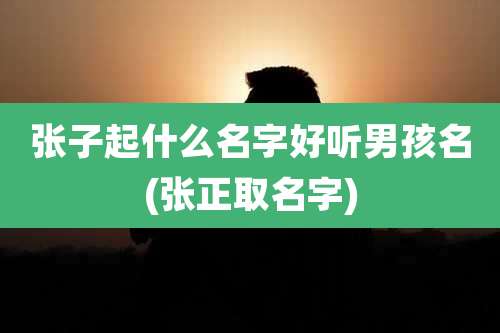 张子起什么名字好听男孩名(张正取名字)