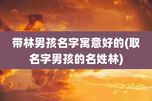 带林男孩名字寓意好的(取名字男孩的名姓林)