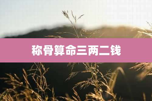 称骨算命三两二钱