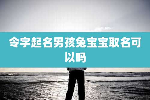令字起名男孩兔宝宝取名可以吗