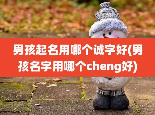 男孩起名用哪个诚字好(男孩名字用哪个cheng好)