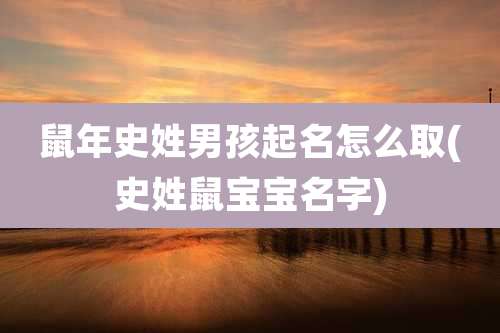 鼠年史姓男孩起名怎么取(史姓鼠宝宝名字)