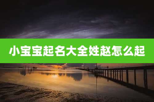 小宝宝起名大全姓赵怎么起