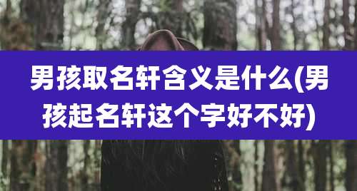 男孩取名轩含义是什么(男孩起名轩这个字好不好)