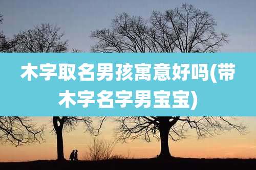 木字取名男孩寓意好吗(带木字名字男宝宝)
