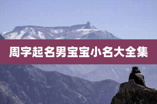周字起名男宝宝小名大全集
