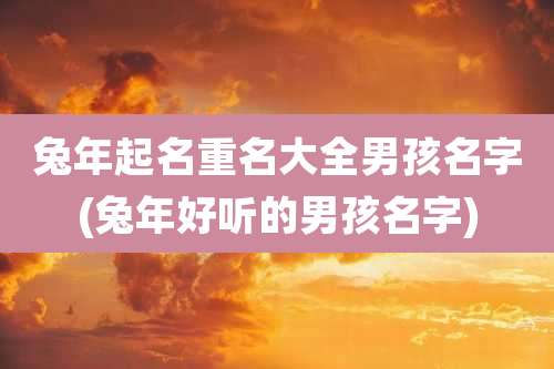 兔年起名重名大全男孩名字(兔年好听的男孩名字)