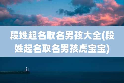 段姓起名取名男孩大全(段姓起名取名男孩虎宝宝)