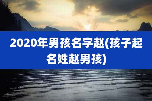 2020年男孩名字赵(孩子起名姓赵男孩)