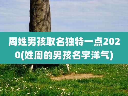 周姓男孩取名独特一点2020(姓周的男孩名字洋气)