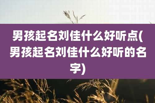 男孩起名刘佳什么好听点(男孩起名刘佳什么好听的名字)