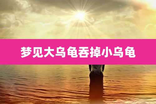 梦见大乌龟吞掉小乌龟