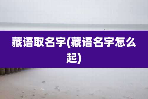 藏语取名字(藏语名字怎么起)