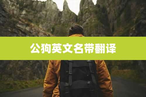 公狗英文名带翻译