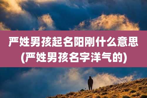 严姓男孩起名阳刚什么意思(严姓男孩名字洋气的)