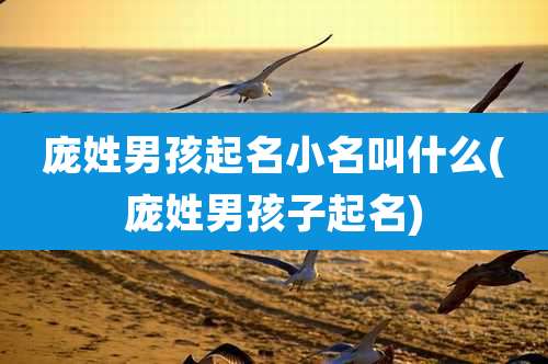 庞姓男孩起名小名叫什么(庞姓男孩子起名)