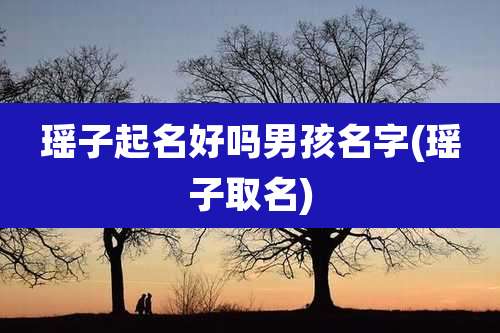 瑶子起名好吗男孩名字(瑶子取名)