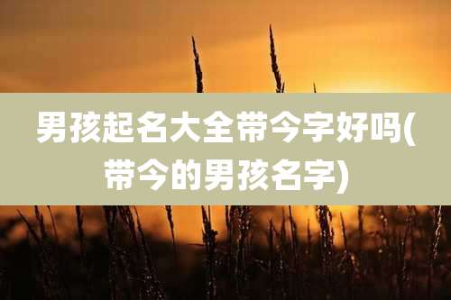 男孩起名大全带今字好吗(带今的男孩名字)
