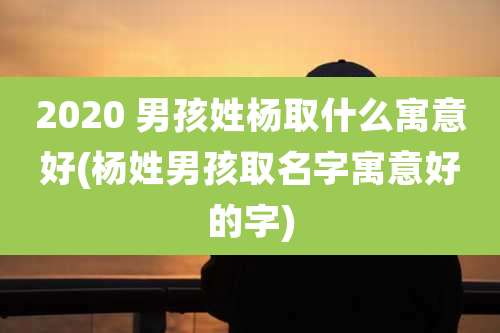 2020 男孩姓杨取什么寓意好(杨姓男孩取名字寓意好的字)