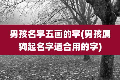 男孩名字五画的字(男孩属狗起名字适合用的字)