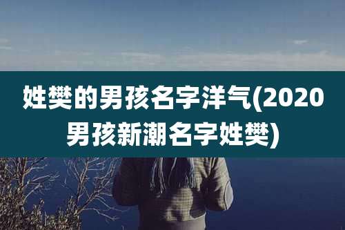 姓樊的男孩名字洋气(2020男孩新潮名字姓樊)