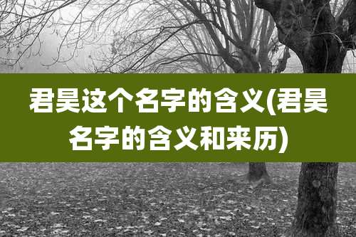 君昊这个名字的含义(君昊名字的含义和来历)