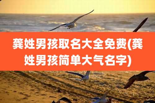 龚姓男孩取名大全免费(龚姓男孩简单大气名字)