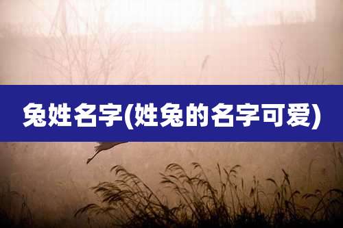 兔姓名字(姓兔的名字可爱)