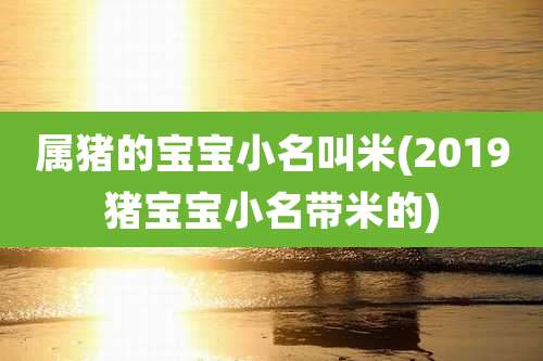 属猪的宝宝小名叫米(2019猪宝宝小名带米的)