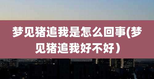 梦见猪追我是怎么回事(梦见猪追我好不好）