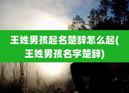 王姓男孩起名楚辞怎么起(王姓男孩名字楚辞)