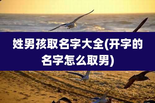 姓男孩取名字大全(开字的名字怎么取男)