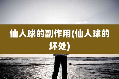 仙人球的副作用(仙人球的坏处)