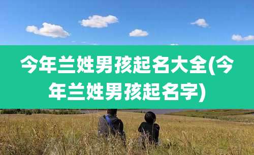 今年兰姓男孩起名大全(今年兰姓男孩起名字)