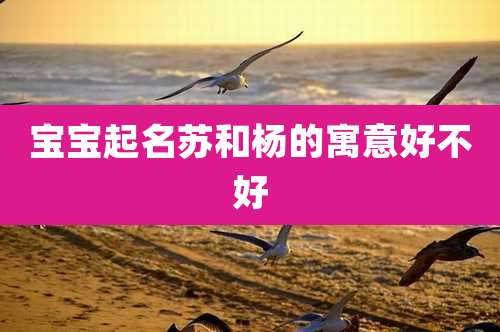 宝宝起名苏和杨的寓意好不好