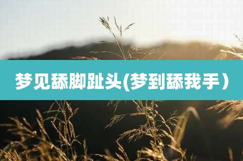 梦见***趾头(梦到舔我手）