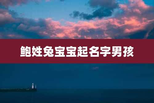 鲍姓兔宝宝起名字男孩