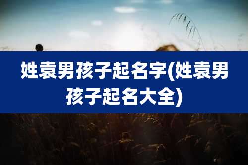 姓袁男孩子起名字(姓袁男孩子起名大全)