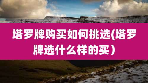 塔罗牌购买如何挑选(塔罗牌选什么样的买）