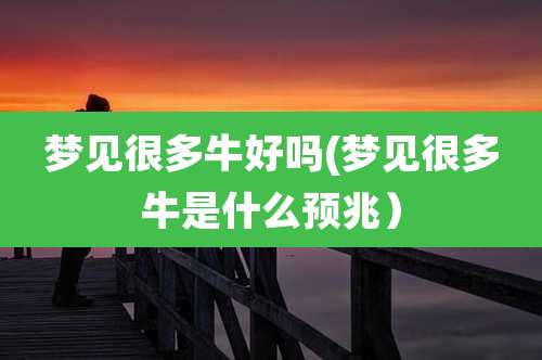 梦见很多牛好吗(梦见很多牛是什么预兆)